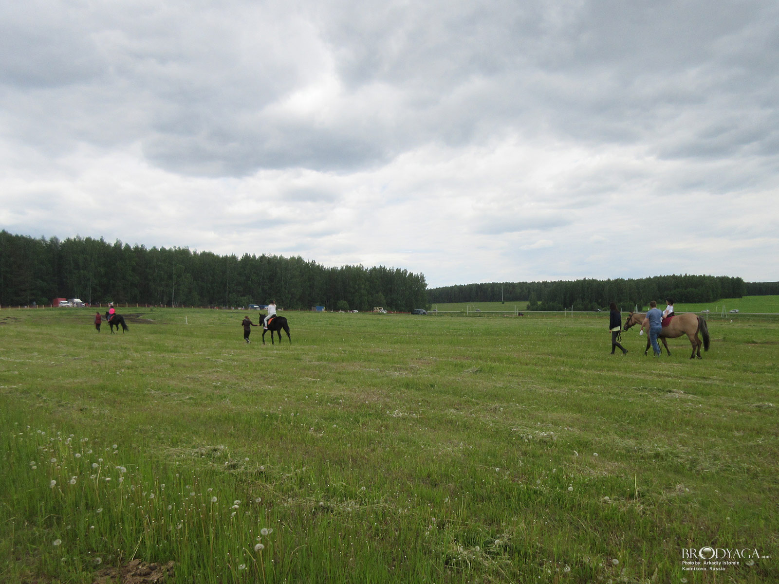 Kadnikovo (Кадниково)